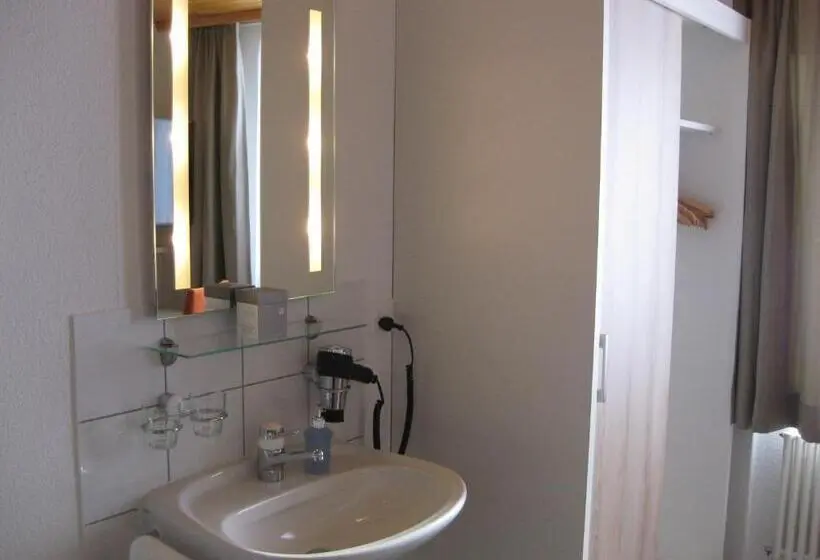 Habitació Estàndard Individual Bany Compartit, Hubertus