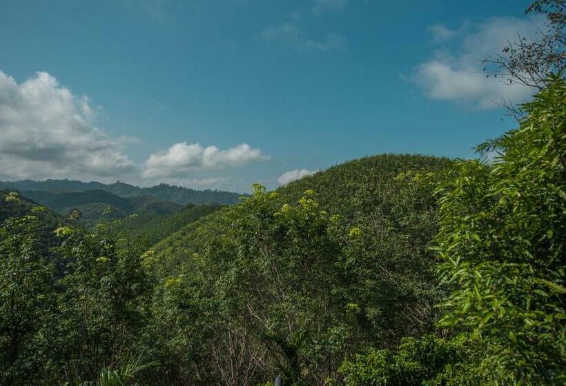 家庭山景房, Mountain View House