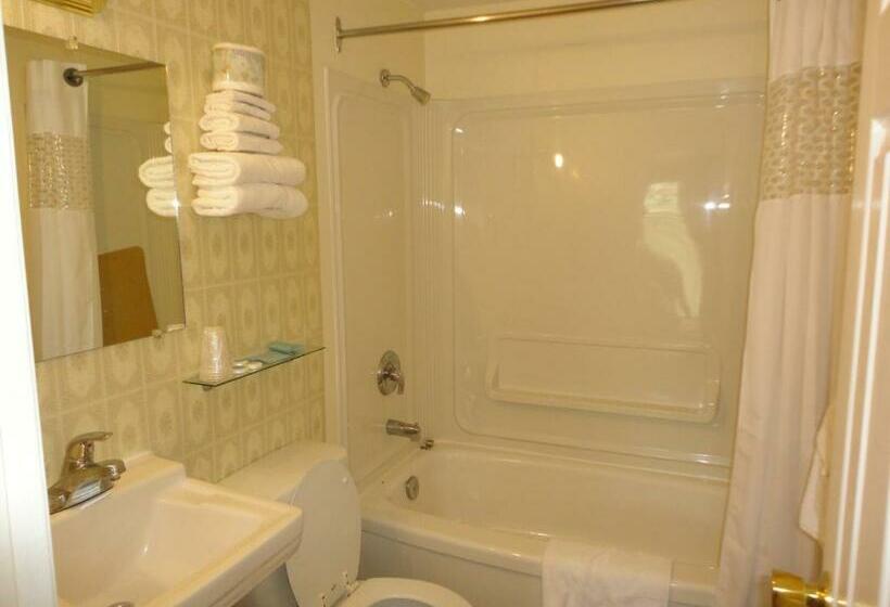 استوديو قياسي مطل على البحيرة, Sorrento Inn Motel