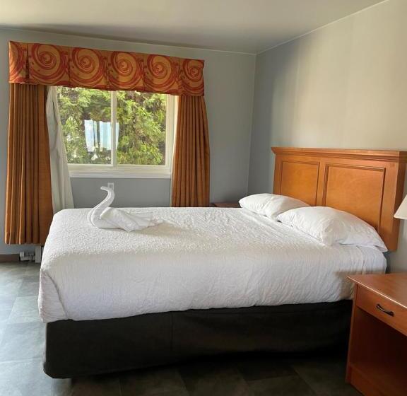 غرفة قياسية, Sorrento Inn Motel