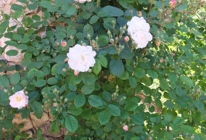 2间卧室的房子, Gîte Et Chambres D Hôtes   Sur Le Chemin Des Sens