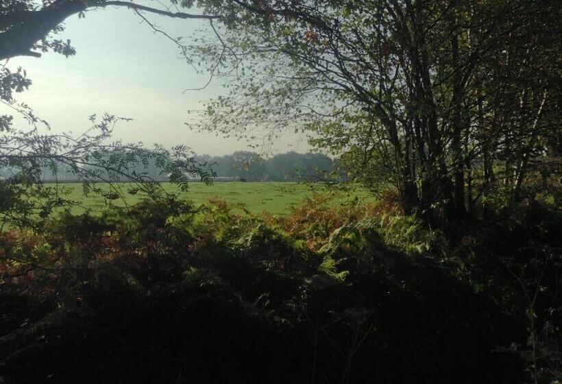 バス共有のスタンダードルーム, De Hörst