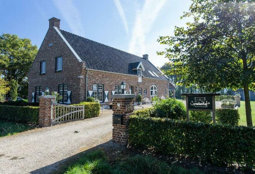 חדר סטנדרט, Spraelandhof