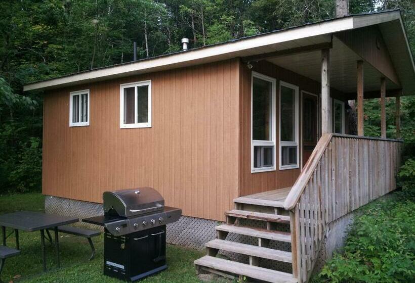 标准工作室, Ogopogo Resort