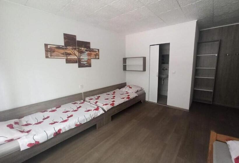 스탠다드 트리플 룸, Motel šofér