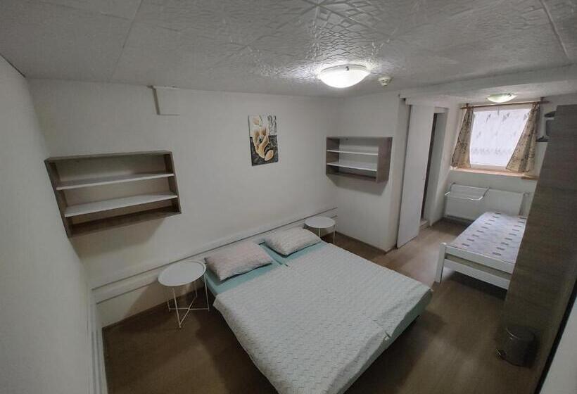 Pokój Standard Trzyosobowy, Motel šofér
