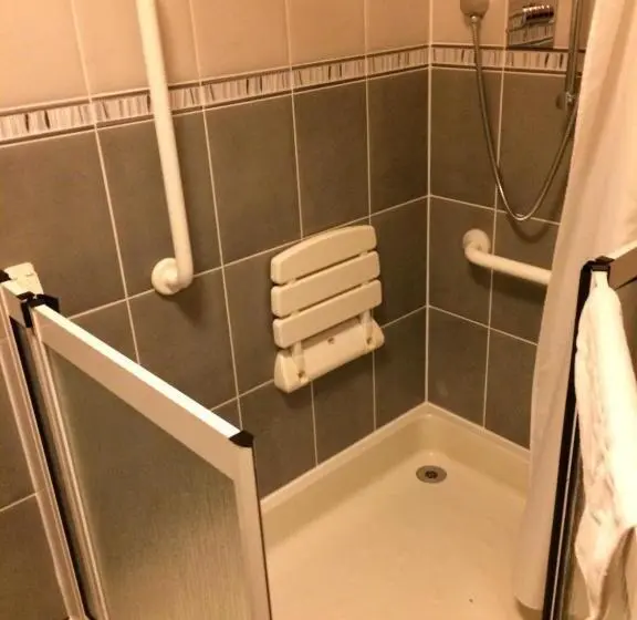 Camera Standard Pat King Adaptată pentru Discapacitaţi, Borve House
