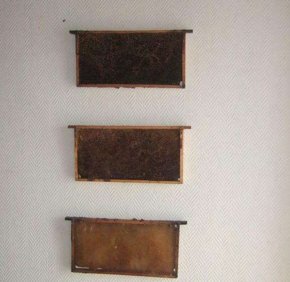 ファミリールーム, Gasthaus Hofmann