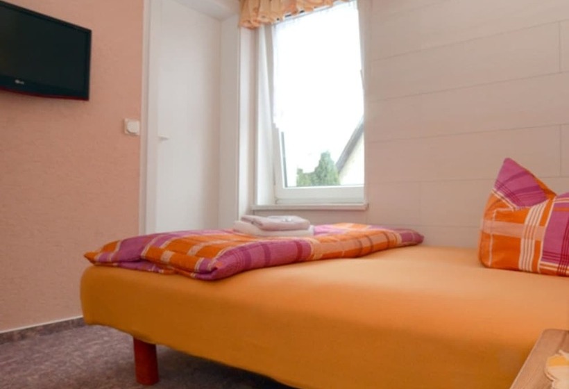 스탠다드 싱글 룸, Pension Zur Krone