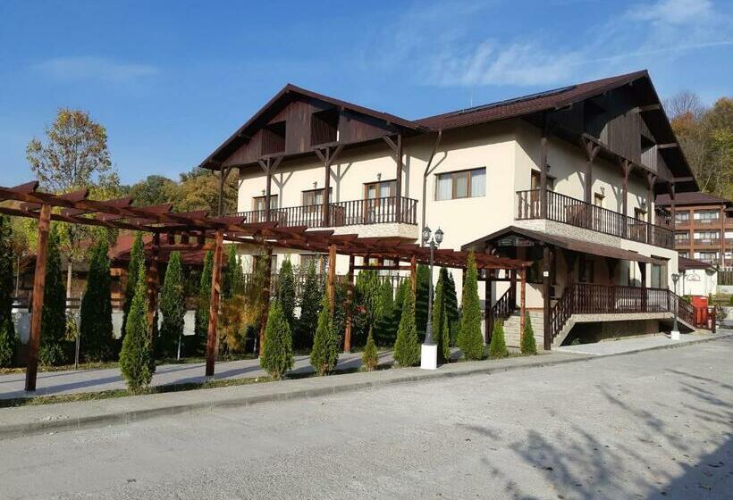 バルコニー付きスタンダードルーム, Pensiunea Arido