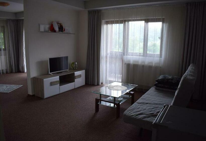 バルコニー付きスタンダードルーム, Pensiunea Arido