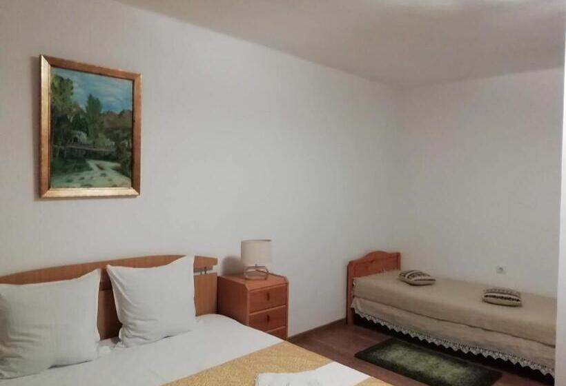 Номер Стандарт, Pensiunea Casa Butnarului