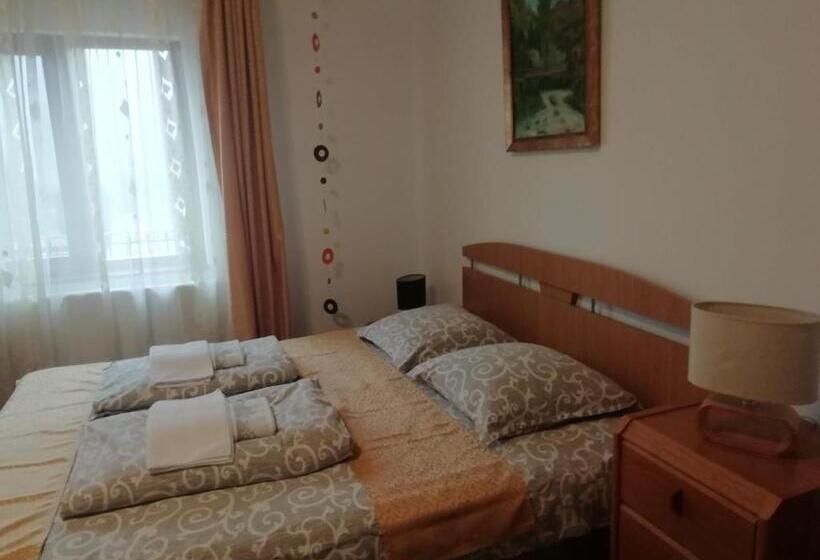 Номер Стандарт, Pensiunea Casa Butnarului