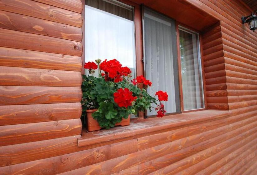 스탠다드 룸, Pensiunea Casa Butnarului