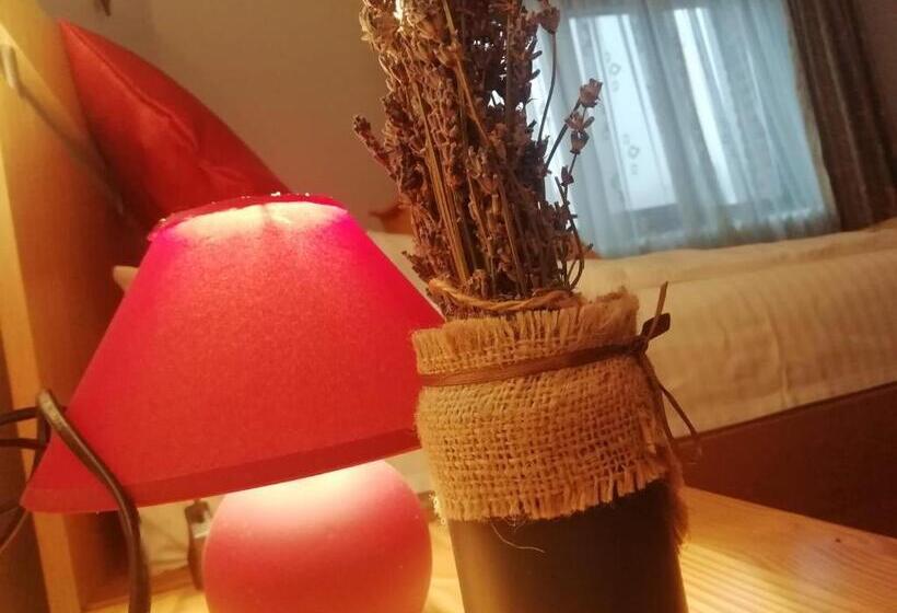 Номер Стандарт, Pensiunea Casa Butnarului