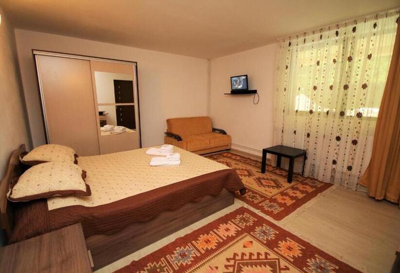 4인용 스탠다드 룸, Pensiunea Ciobanelu