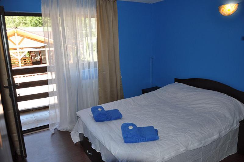 스탠다드 룸, Pensiunea Ciobanelu