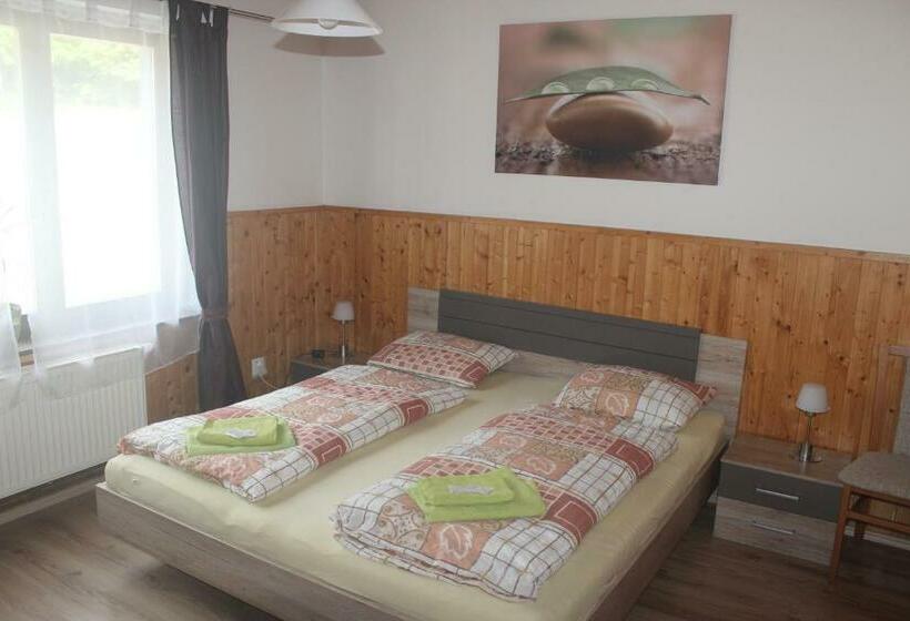 스탠다드 룸, Wellness Pension Formanka