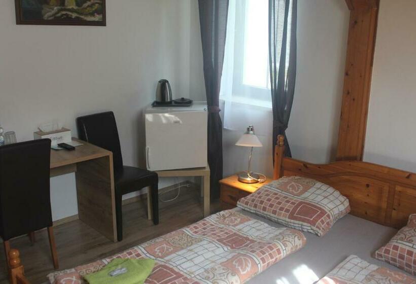 스탠다드 룸, Wellness Pension Formanka