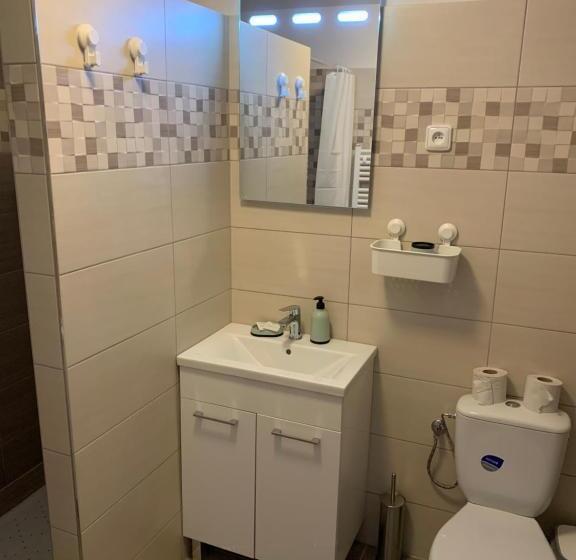 스탠다드 발코니 룸, Wellness Pension Formanka