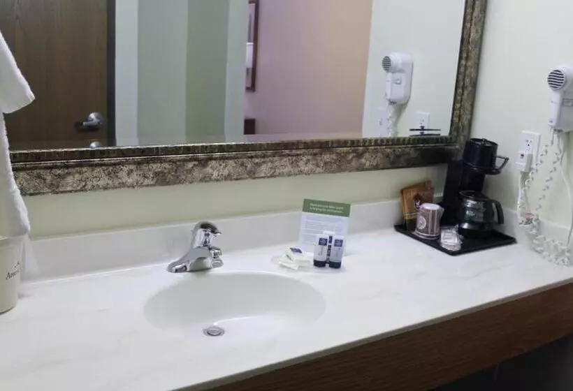 اتاق استاندارد با تخت بزرگ, Americinn By Wyndham Cedar Rapids Airport