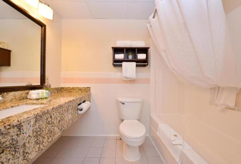 غرفة قياسية سرير كينج, Best Western Plus Sidney Lodge