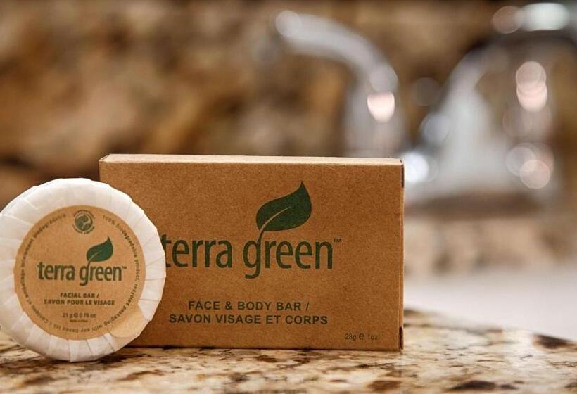 غرفة قياسية سرير كينج, Best Western Plus Sidney Lodge