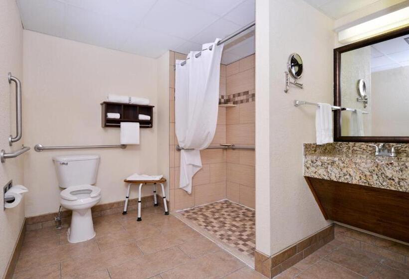 غرفة قياسية لذوى الاحتياجات الخاصة, Best Western Plus Sidney Lodge