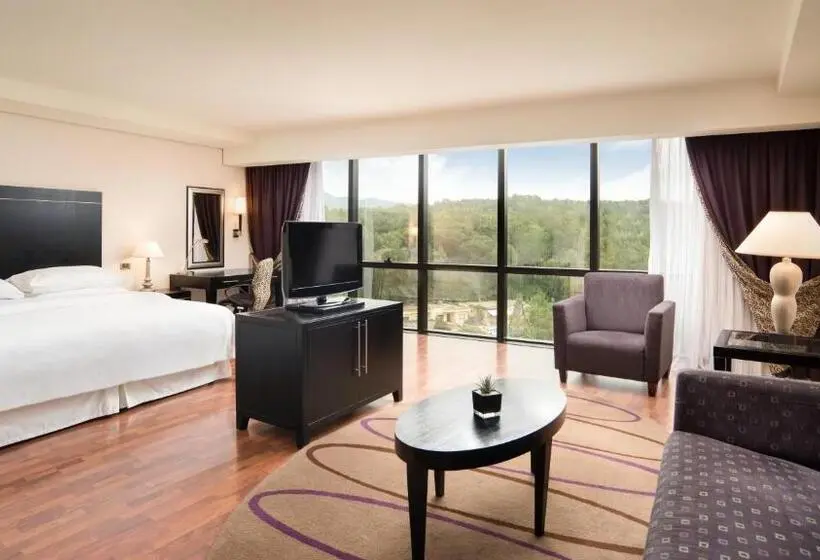 سوییت جونیور, Mak Albania