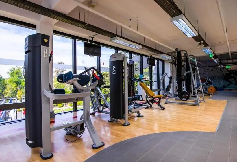 سوییت, Mak Albania