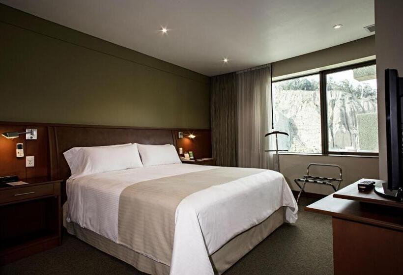 سوییت خانوادگی, Suites Camino Real