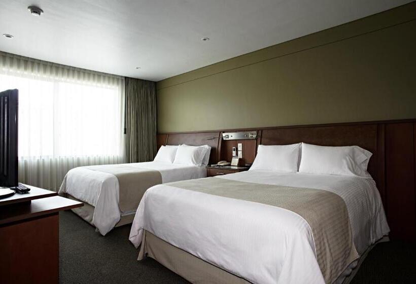 سوییت خانوادگی, Suites Camino Real