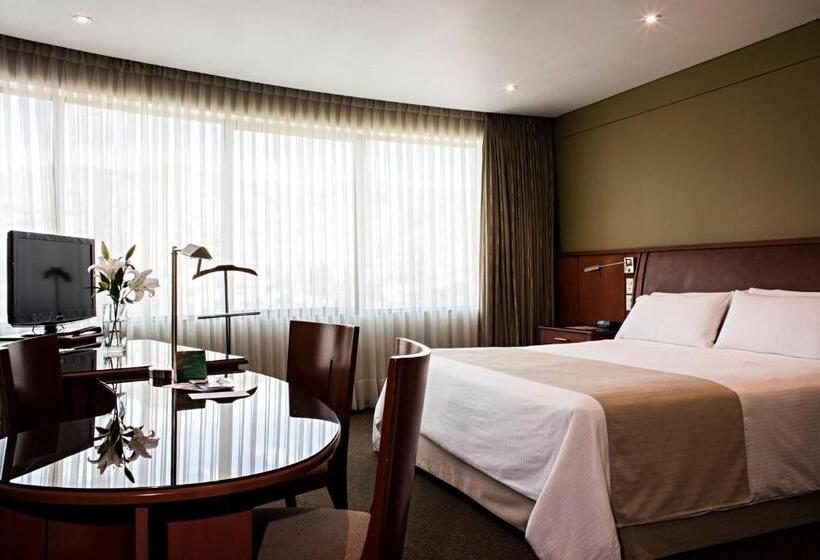 سوئیت با تخت بزرگ, Suites Camino Real