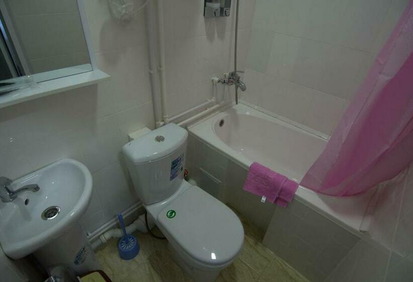 اتاق اکونومی یک تخته, Sakura Inn