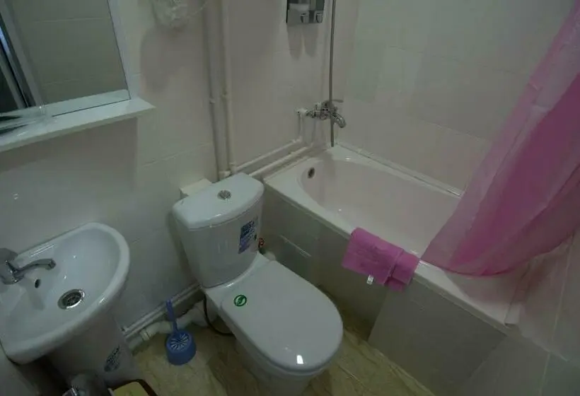 اتاق اکونومی یک تخته, Sakura Inn
