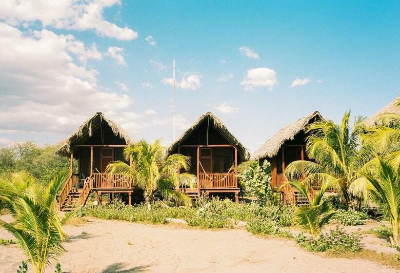 스탠다드 방갈로, Surfing Turtle Lodge