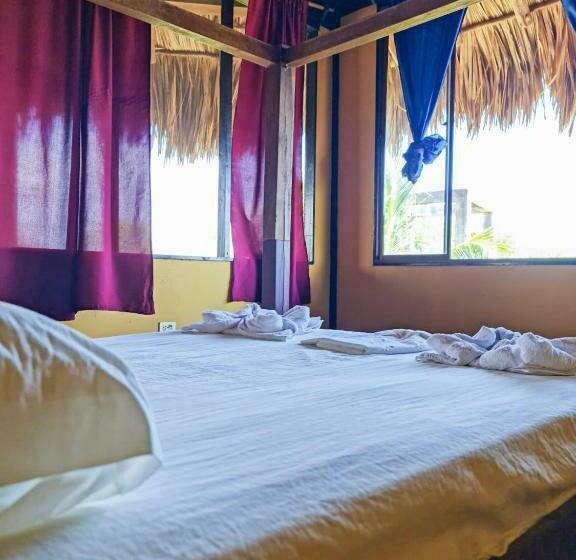 스탠다드 룸 공동 욕실, Surfing Turtle Lodge