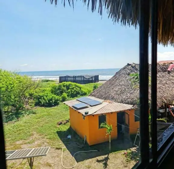 バス共有のスタンダードルーム, Surfing Turtle Lodge