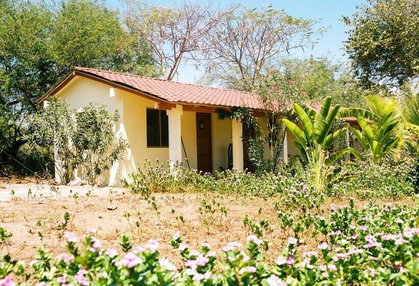 스탠다드 룸, Surfing Turtle Lodge