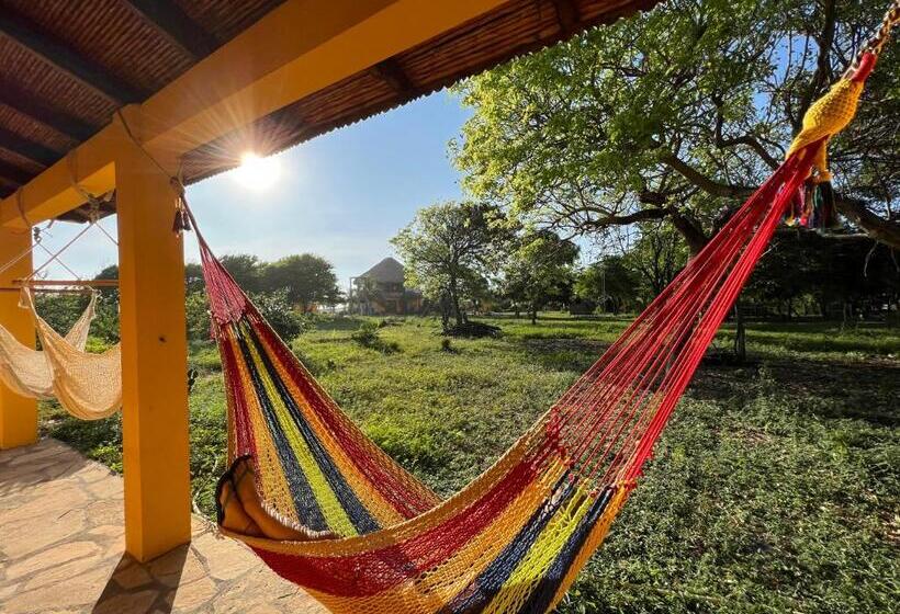 스탠다드 방갈로 정원 전망, Surfing Turtle Lodge