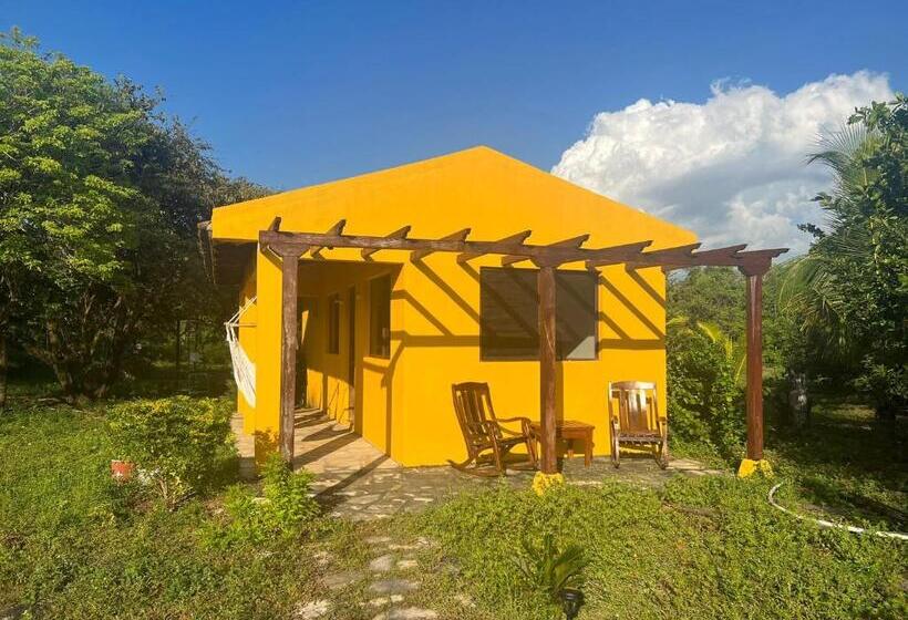 스탠다드 방갈로 정원 전망, Surfing Turtle Lodge