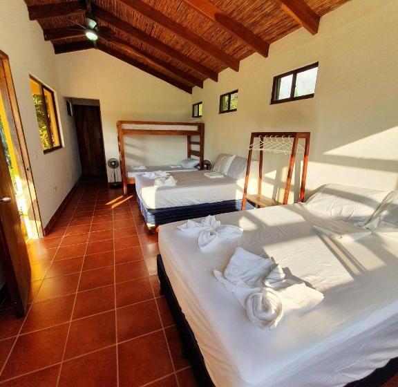 스탠다드 방갈로 정원 전망, Surfing Turtle Lodge