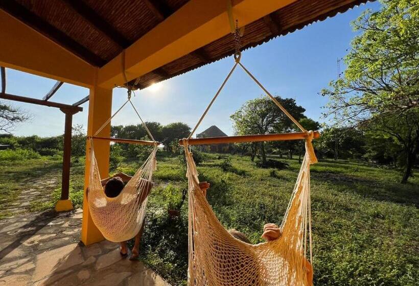 스탠다드 방갈로 정원 전망, Surfing Turtle Lodge