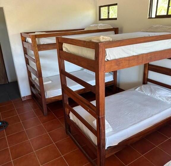 공동 객실, Surfing Turtle Lodge