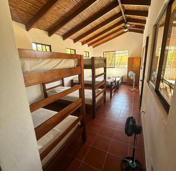 공동 객실, Surfing Turtle Lodge