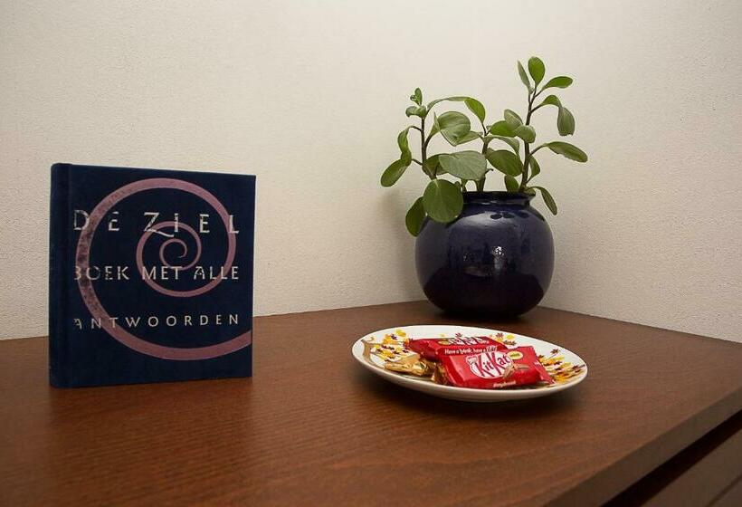 标准间, B&b 7de Hemel