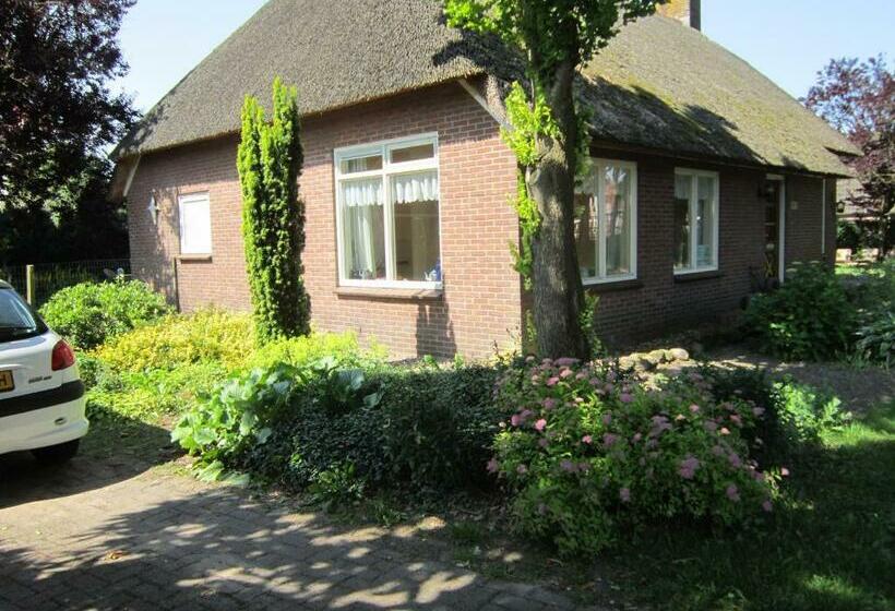 اتاق استاندارد, B&b Loon