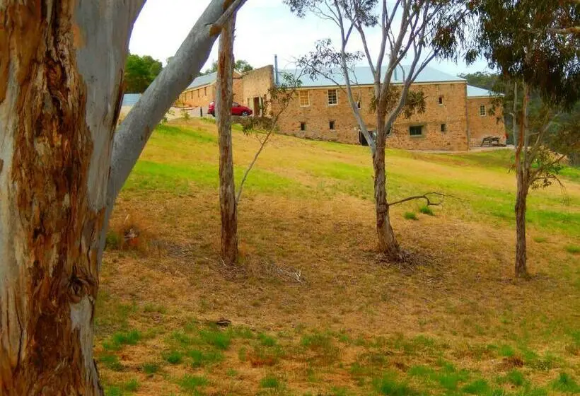 デラックススタジオ, Morialta Barns