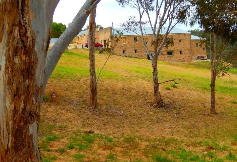 デラックススイート, Morialta Barns