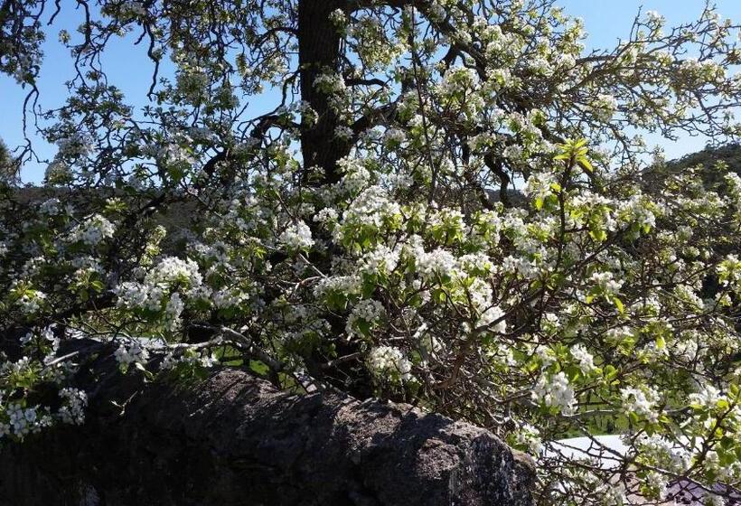 2间卧室的房子, Morialta Barns